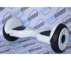 Titan - White 10.5 Inch